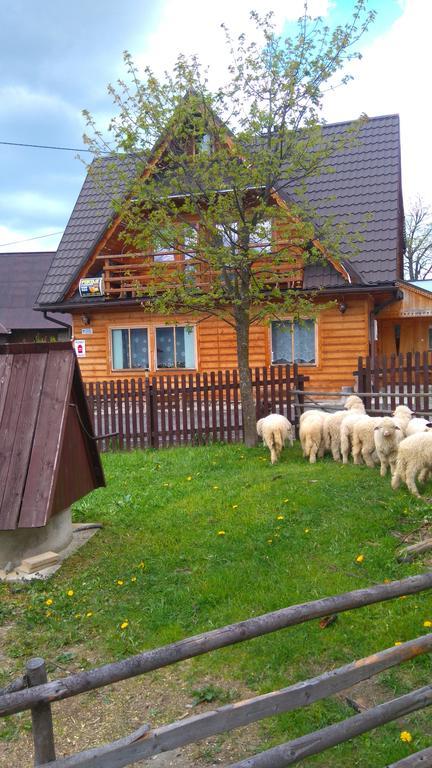 Pokoje U Sarnowskich Kościelisko Dış mekan fotoğraf