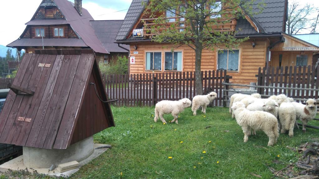 Pokoje U Sarnowskich Kościelisko Dış mekan fotoğraf